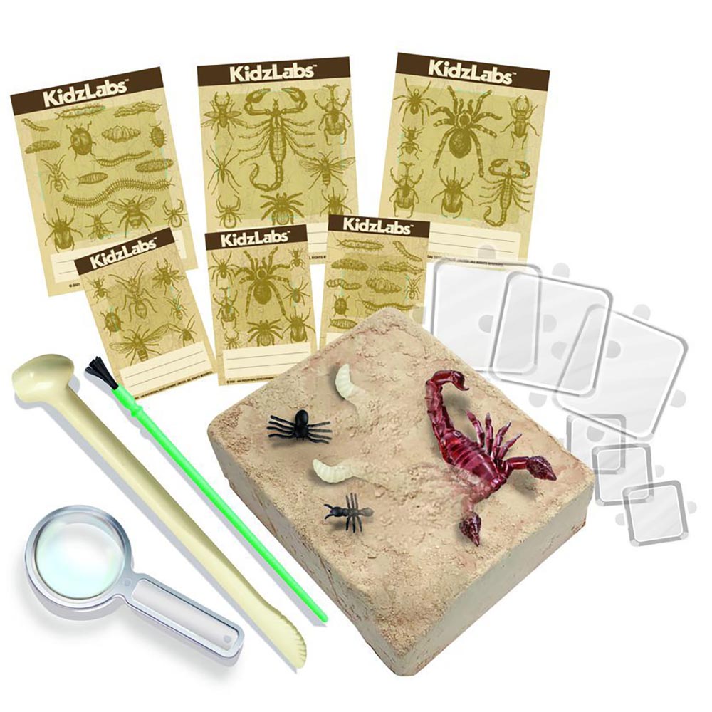 4M - Kidz Labs - CREEPY CRAWLY DIGGING KIT